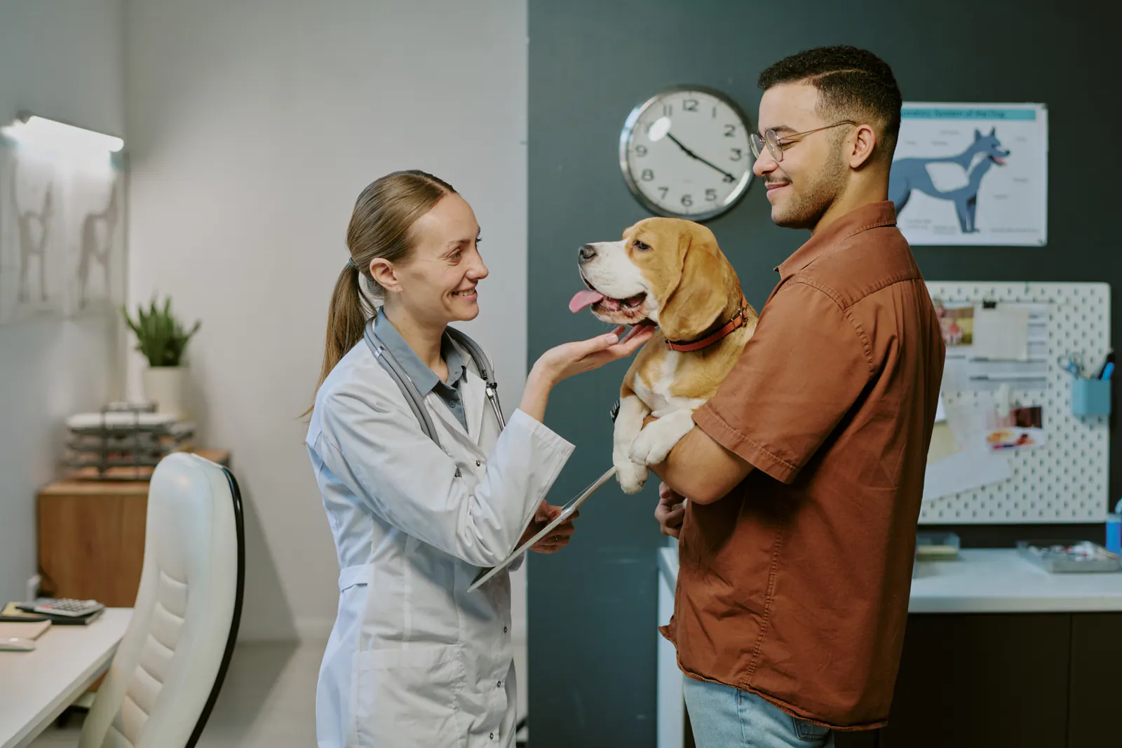 A happy dog with its owner