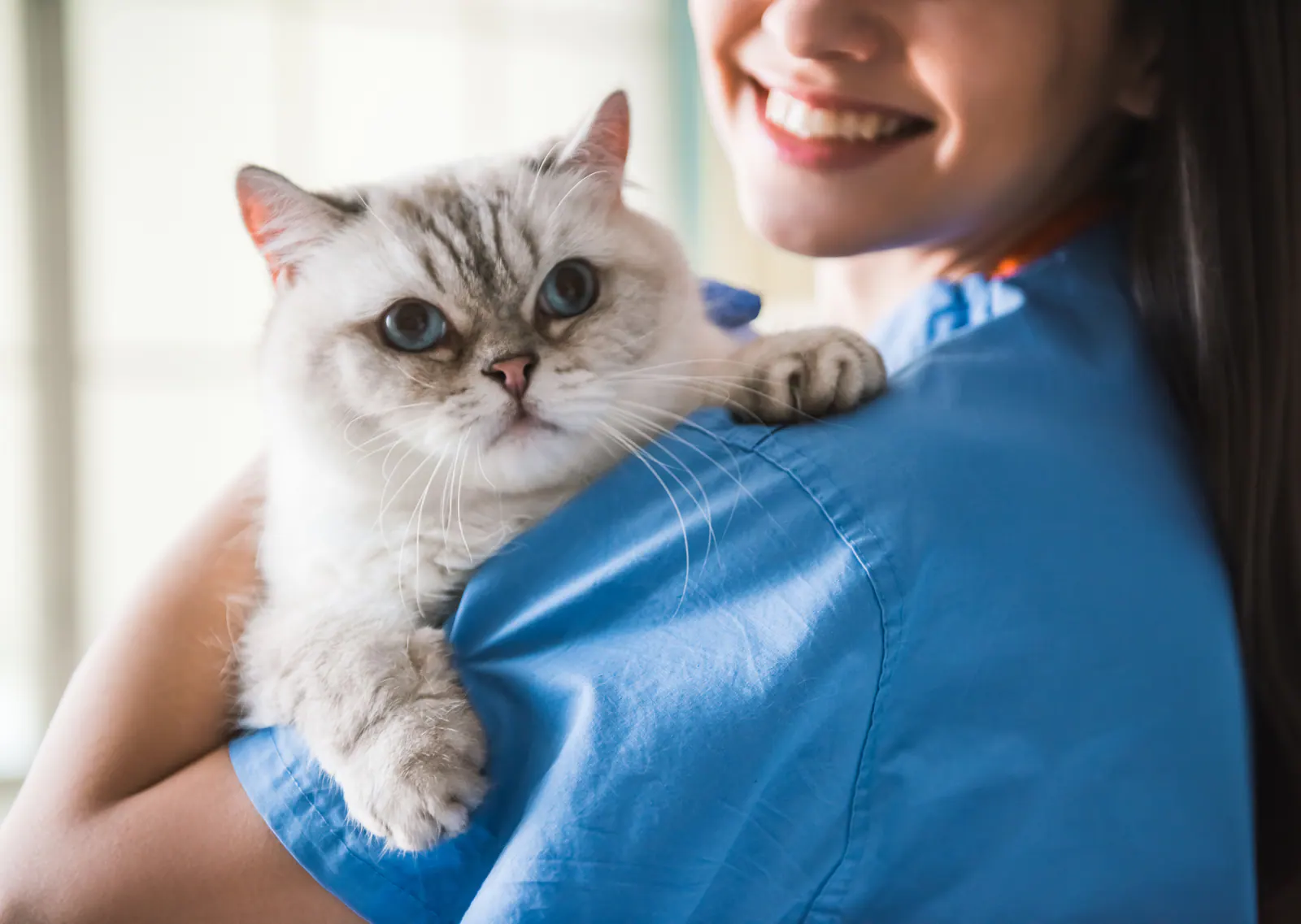 Veterinary nurse holding a cat