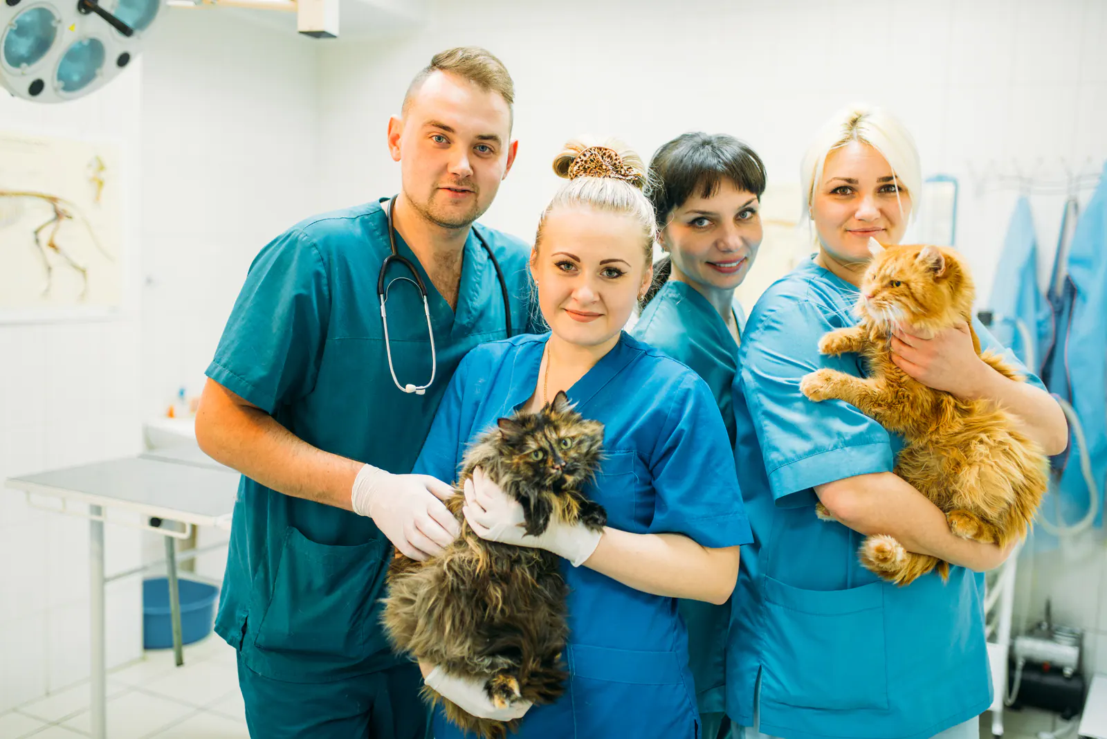 Everwell veterinary team together with their patients